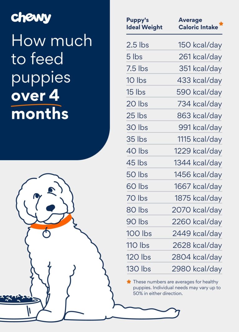 How Often Should Newborns Eat