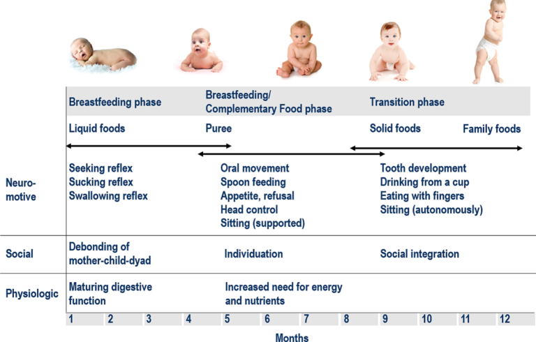 Newborn Oral-Motor Feeding Development