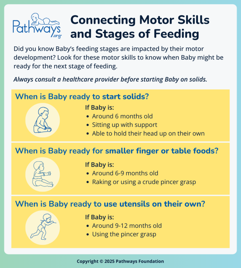 Baby Feeding Development From Milk To Solids