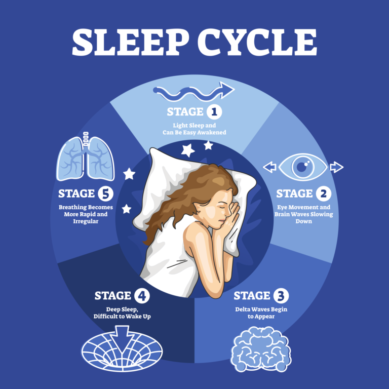 Newborn Sleep Architecture And Sleep States